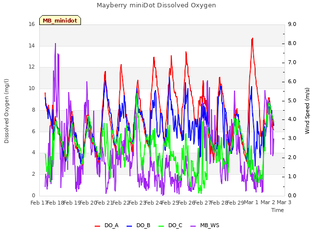 plot of Mayberry miniDot Dissolved Oxygen