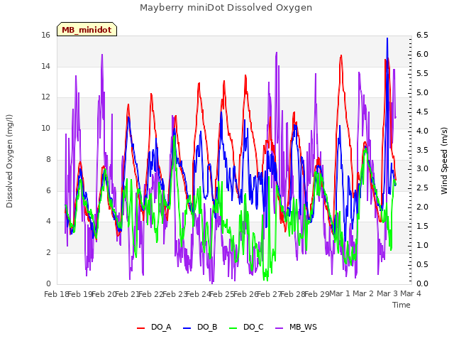 plot of Mayberry miniDot Dissolved Oxygen