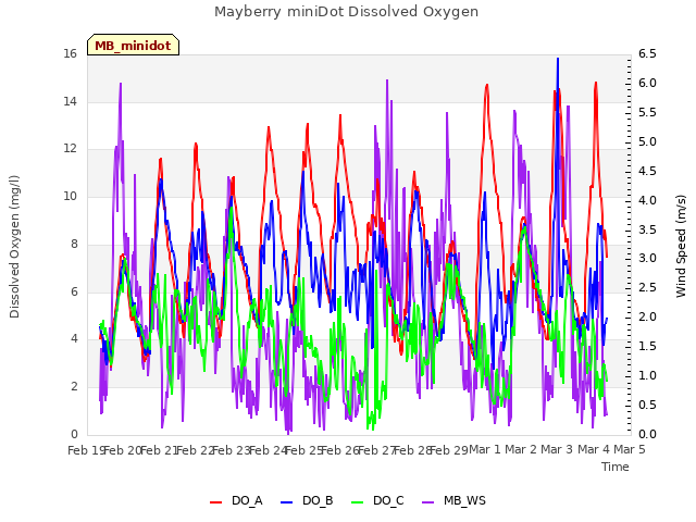 plot of Mayberry miniDot Dissolved Oxygen