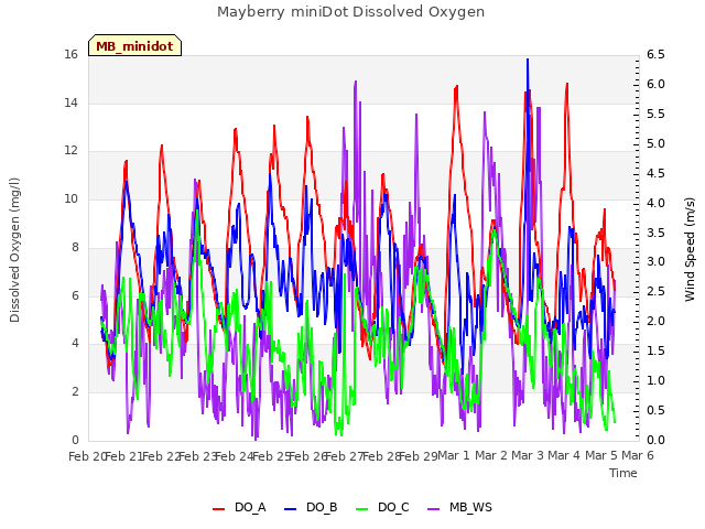plot of Mayberry miniDot Dissolved Oxygen