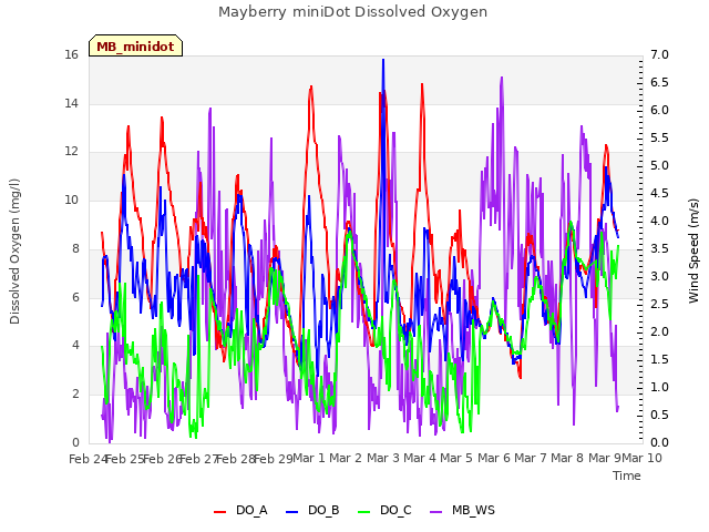 plot of Mayberry miniDot Dissolved Oxygen