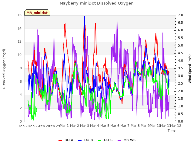 plot of Mayberry miniDot Dissolved Oxygen