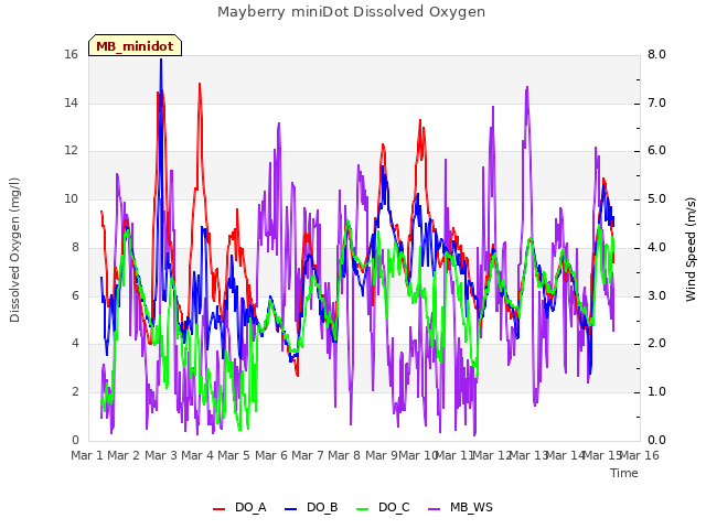 plot of Mayberry miniDot Dissolved Oxygen