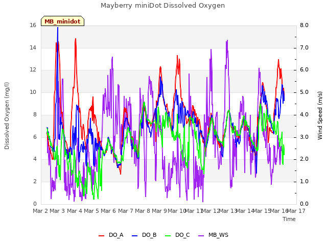 plot of Mayberry miniDot Dissolved Oxygen