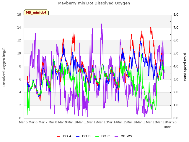 plot of Mayberry miniDot Dissolved Oxygen