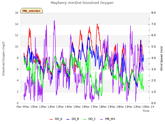 plot of Mayberry miniDot Dissolved Oxygen