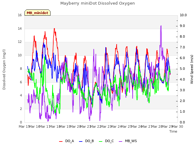 plot of Mayberry miniDot Dissolved Oxygen