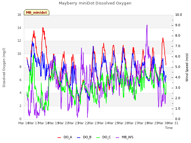 plot of Mayberry miniDot Dissolved Oxygen