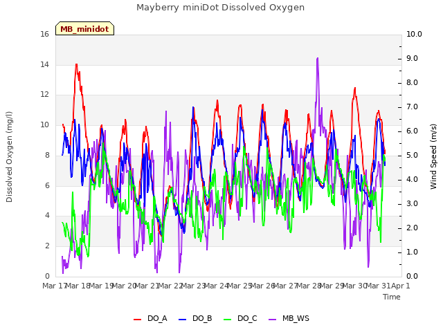 plot of Mayberry miniDot Dissolved Oxygen