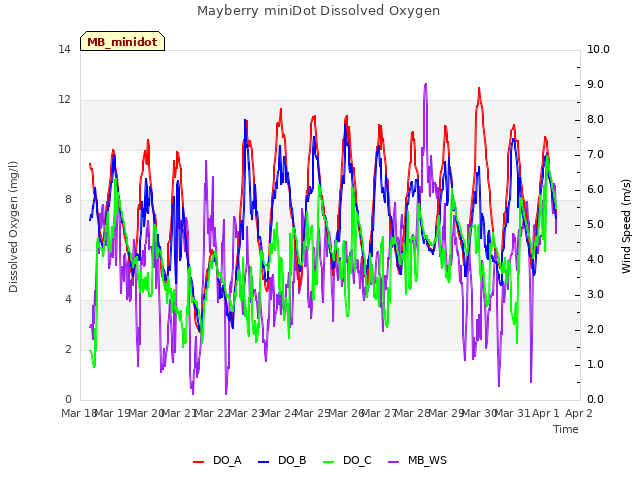 plot of Mayberry miniDot Dissolved Oxygen