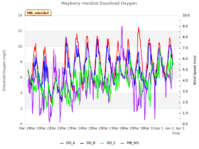 plot of Mayberry miniDot Dissolved Oxygen