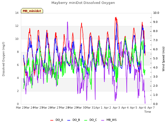 plot of Mayberry miniDot Dissolved Oxygen