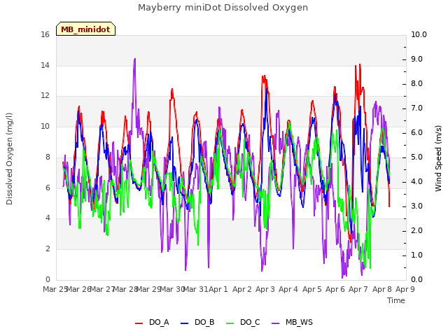 plot of Mayberry miniDot Dissolved Oxygen