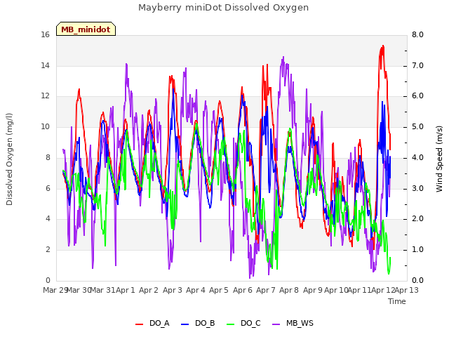 plot of Mayberry miniDot Dissolved Oxygen