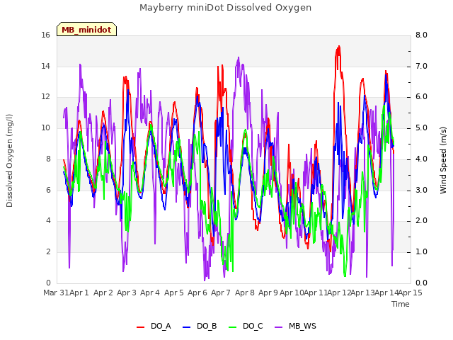 plot of Mayberry miniDot Dissolved Oxygen