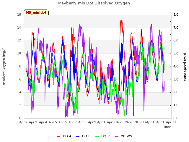 plot of Mayberry miniDot Dissolved Oxygen