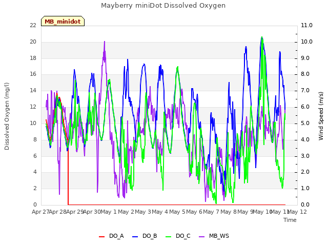 plot of Mayberry miniDot Dissolved Oxygen