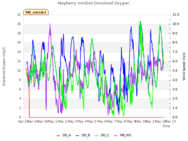 plot of Mayberry miniDot Dissolved Oxygen