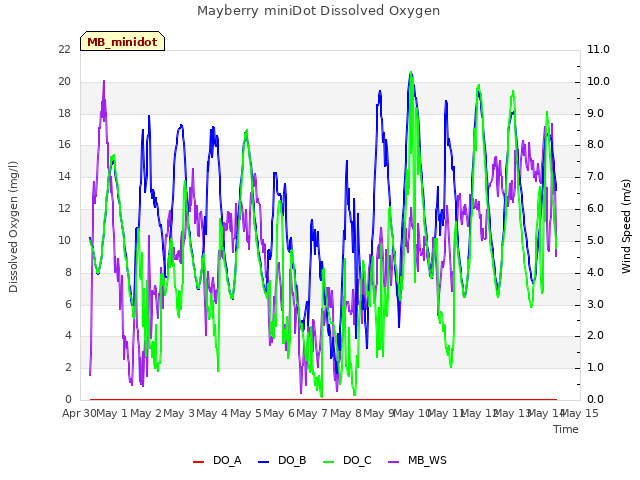 plot of Mayberry miniDot Dissolved Oxygen