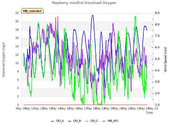 plot of Mayberry miniDot Dissolved Oxygen