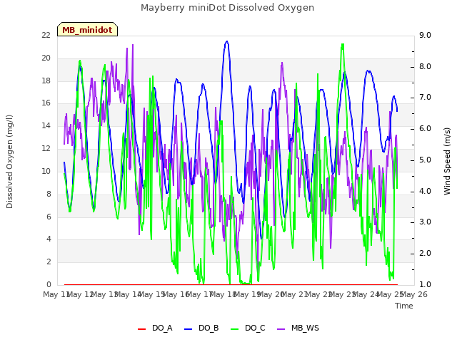 plot of Mayberry miniDot Dissolved Oxygen