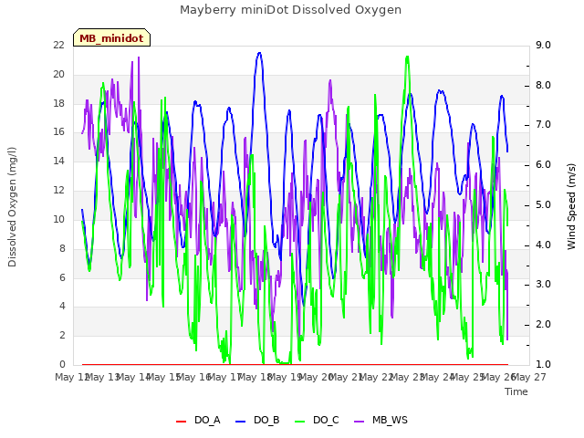 plot of Mayberry miniDot Dissolved Oxygen