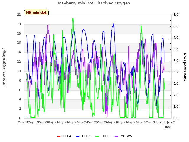 plot of Mayberry miniDot Dissolved Oxygen