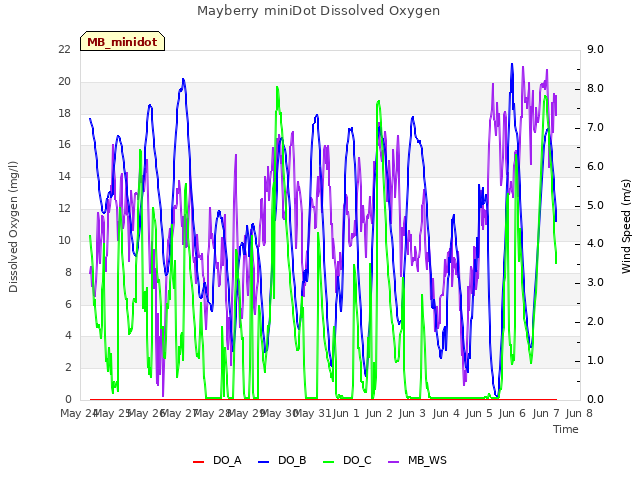 plot of Mayberry miniDot Dissolved Oxygen