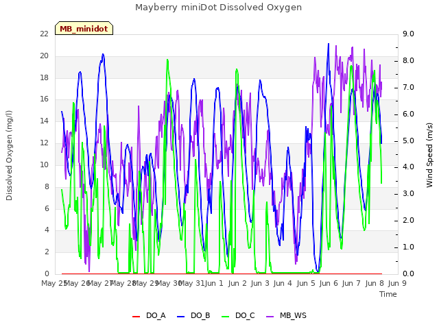 plot of Mayberry miniDot Dissolved Oxygen