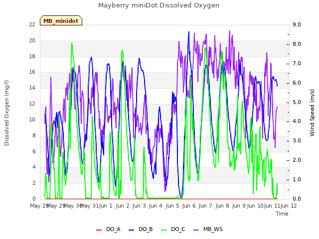 plot of Mayberry miniDot Dissolved Oxygen