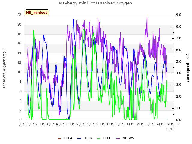 plot of Mayberry miniDot Dissolved Oxygen