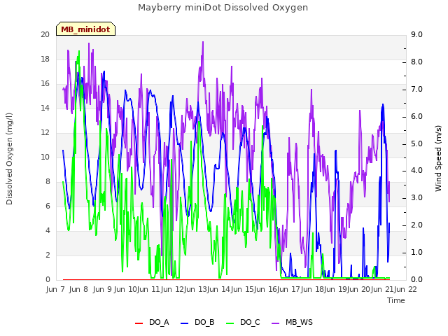 plot of Mayberry miniDot Dissolved Oxygen