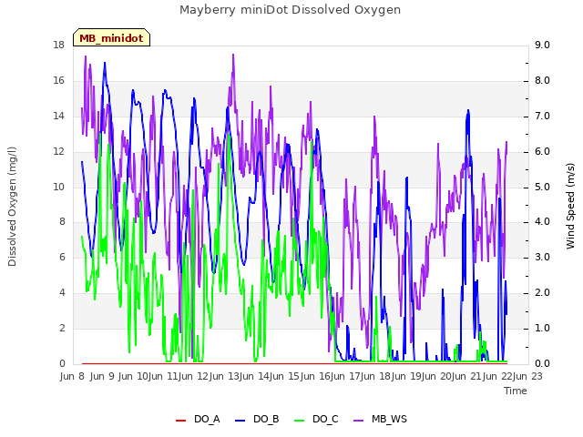 plot of Mayberry miniDot Dissolved Oxygen