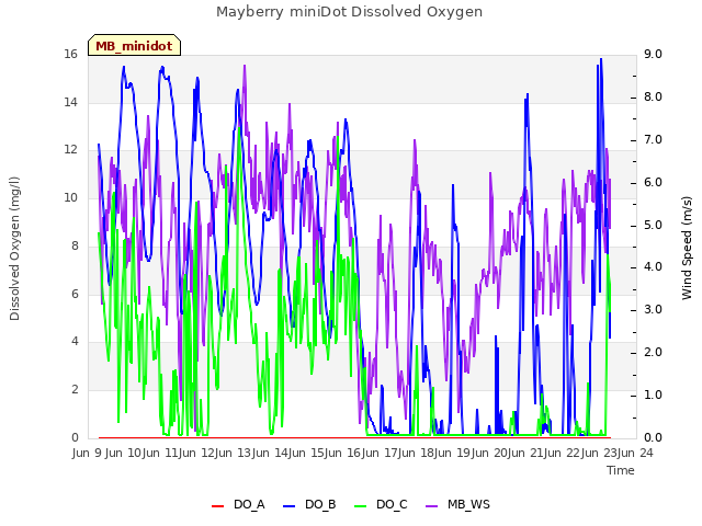 plot of Mayberry miniDot Dissolved Oxygen