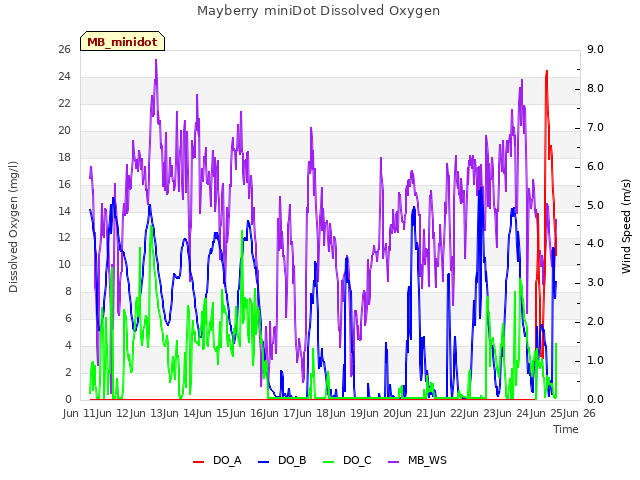 plot of Mayberry miniDot Dissolved Oxygen