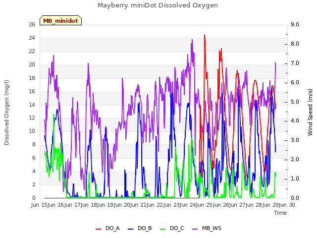 plot of Mayberry miniDot Dissolved Oxygen