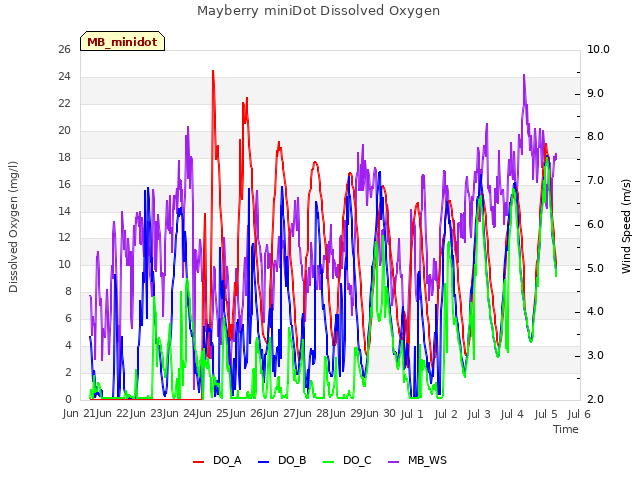 plot of Mayberry miniDot Dissolved Oxygen