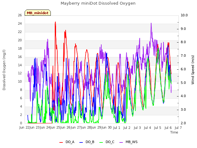 plot of Mayberry miniDot Dissolved Oxygen