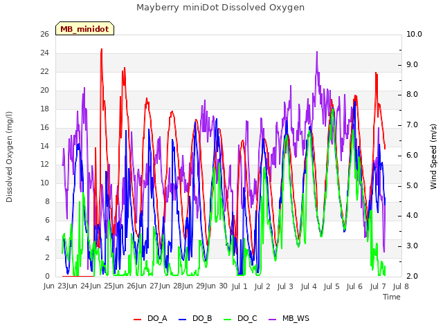 plot of Mayberry miniDot Dissolved Oxygen