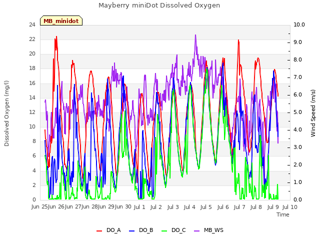 plot of Mayberry miniDot Dissolved Oxygen