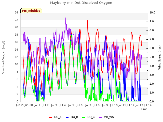 plot of Mayberry miniDot Dissolved Oxygen