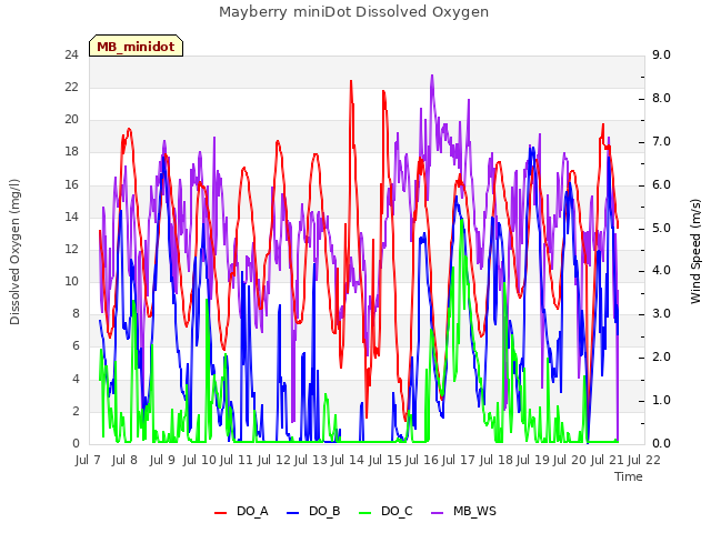 plot of Mayberry miniDot Dissolved Oxygen