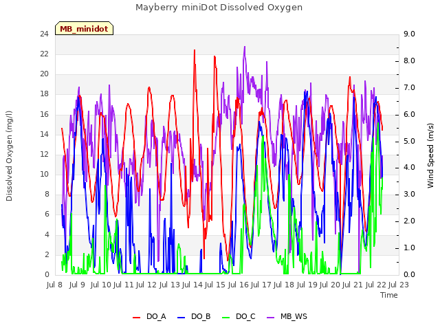 plot of Mayberry miniDot Dissolved Oxygen