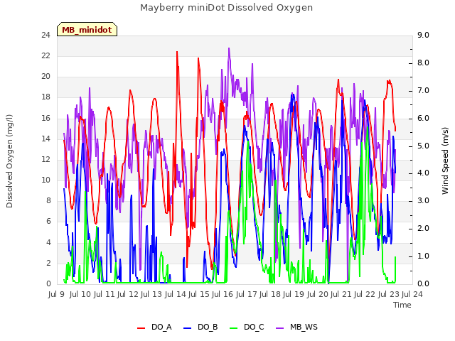 plot of Mayberry miniDot Dissolved Oxygen