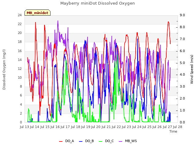 plot of Mayberry miniDot Dissolved Oxygen