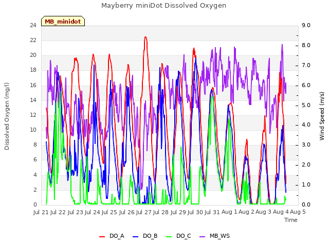 plot of Mayberry miniDot Dissolved Oxygen