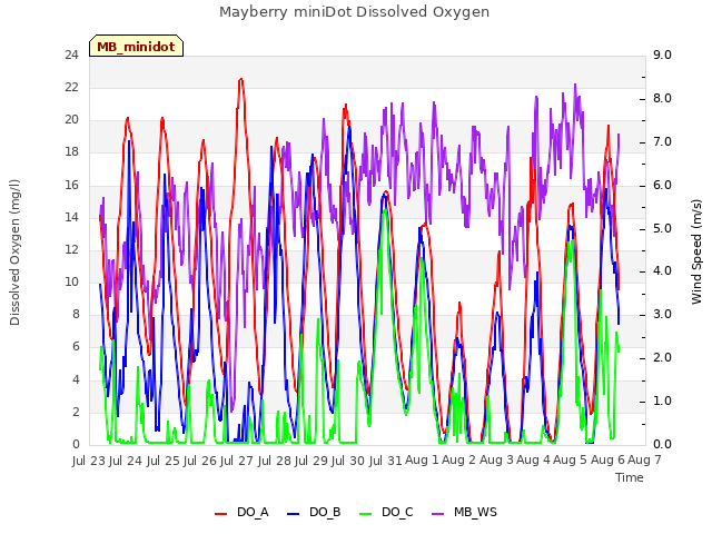 plot of Mayberry miniDot Dissolved Oxygen