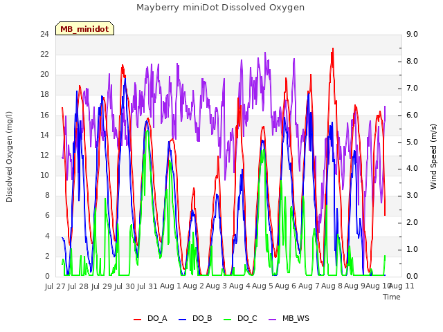 plot of Mayberry miniDot Dissolved Oxygen