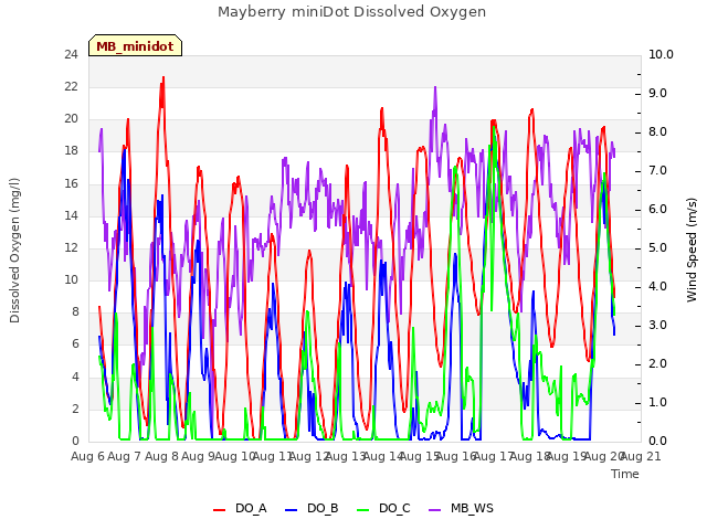 plot of Mayberry miniDot Dissolved Oxygen