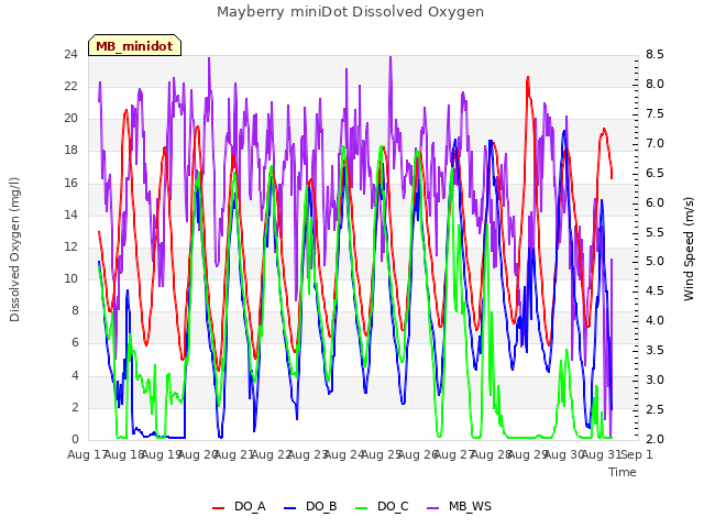 plot of Mayberry miniDot Dissolved Oxygen